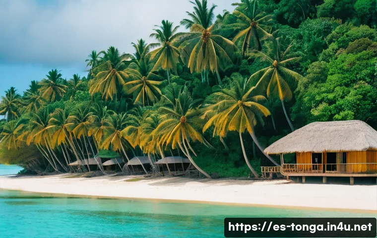 통가 비즈니스 및 투자 기회 - A vibrant ecotourism scene in Tonga showcasing a lush tropical island with crystal-clear turquoise w...