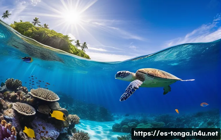 통가 주요 관광지 - A serene underwater scene in the crystal-clear waters of Tonga featuring a snorkeler wearing colorfu...