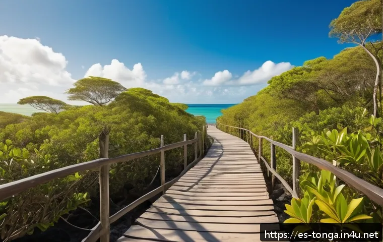 Explora el Santuario Natural de Tongatapu: Un Paraíso Escondido en Tonga que Debes Visitar 4 통가에서 유명한 자연 보호구역 관련 이미지 2